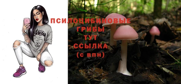 молекула духа Алзамай