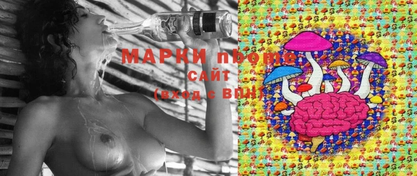 молекула духа Алзамай