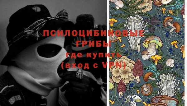 молекула духа Алзамай