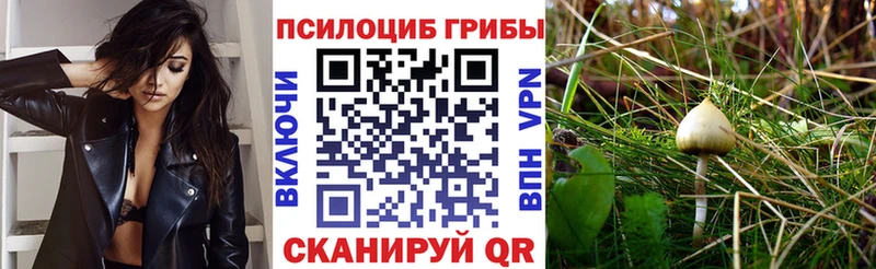 Псилоцибиновые грибы Psilocybine cubensis  что такое наркотик  Киров 